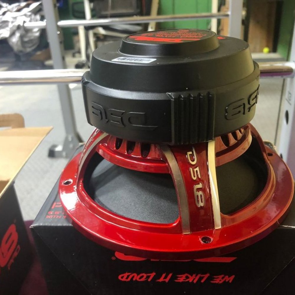 DS18 Pro-HY6.4B 6.5 in speakers (set of 2)